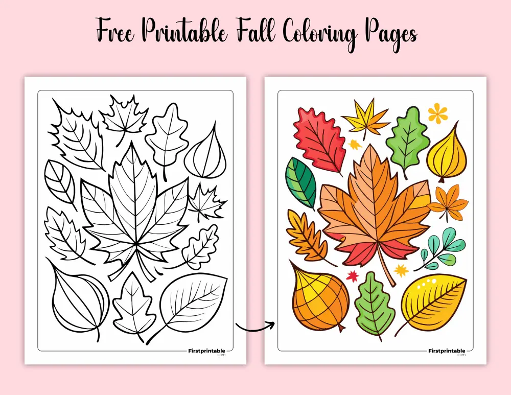 Free Printable Fall Coloring Page