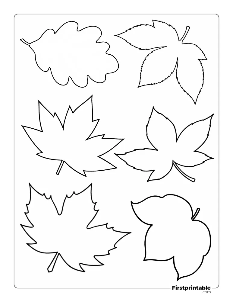 Fall and Autumn Leaf Template Outline