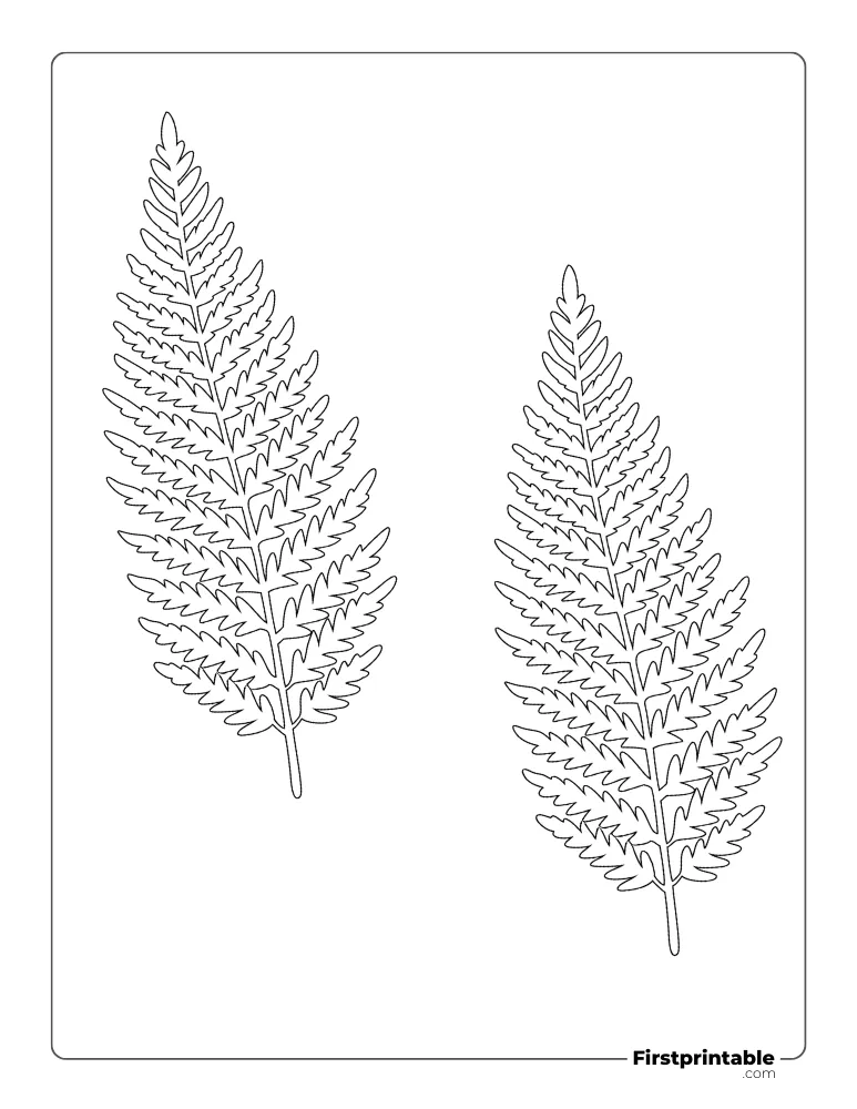 Fern Leaf Template - Medium