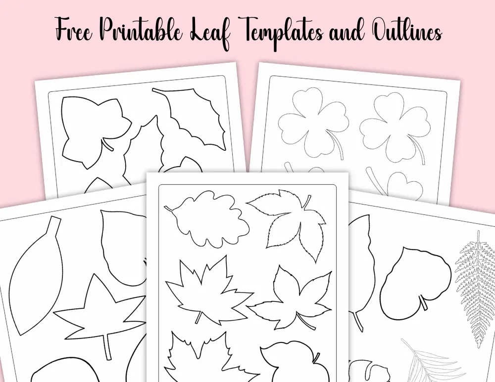 Free Printable Leaf Template and Outlines