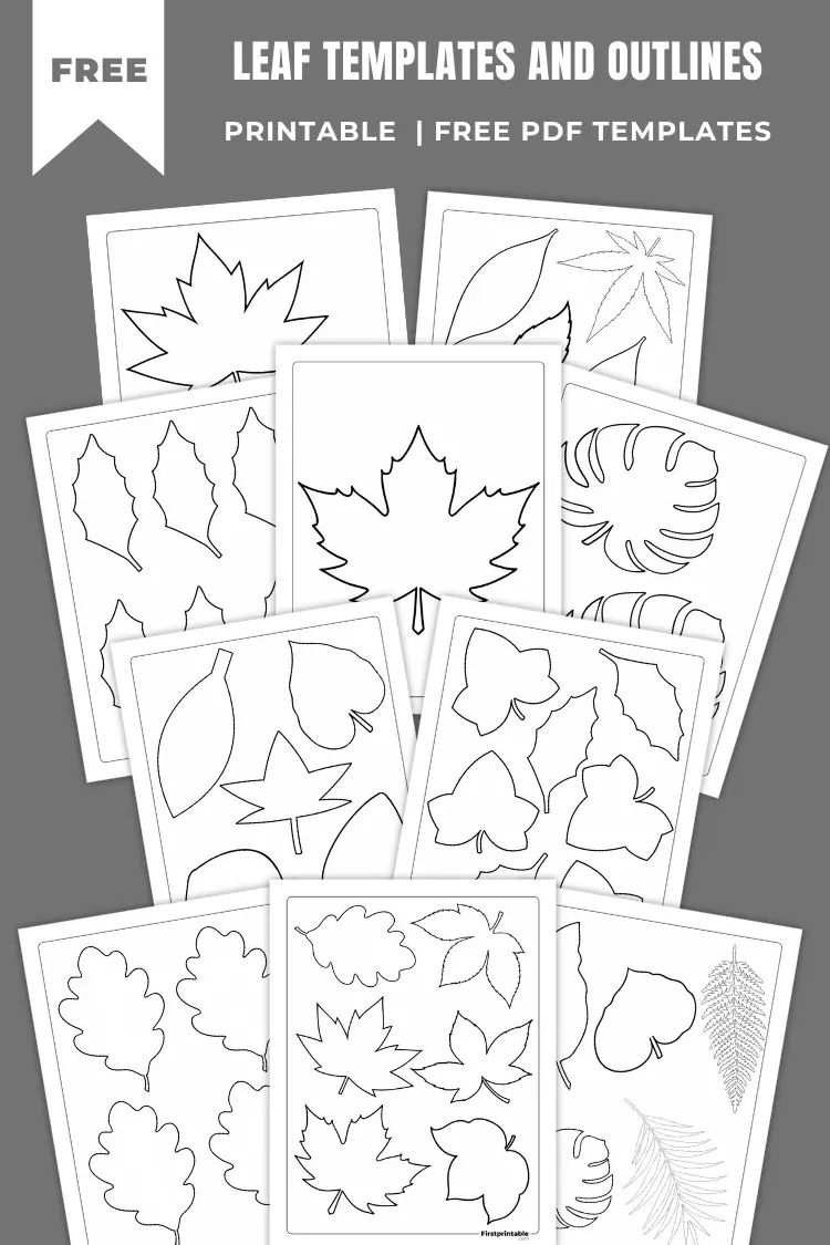 Leaf Templates & Outlines | 75+ Free Printable PDFs