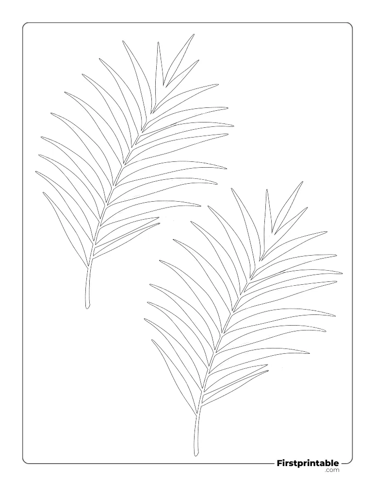 Palm Leaf Template - Medium