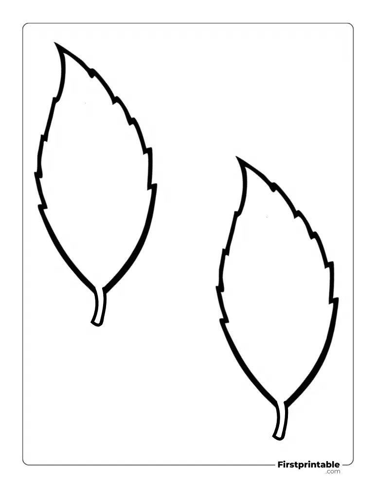 Rose Leaf Template - Medium