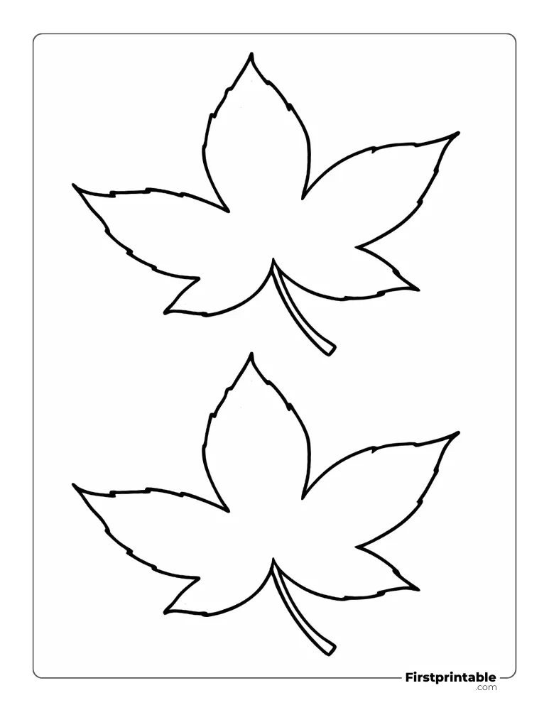 Star Shaped Leaf Template - Medium