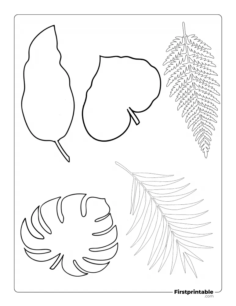 Tropical Jungle Leaf Template Outline