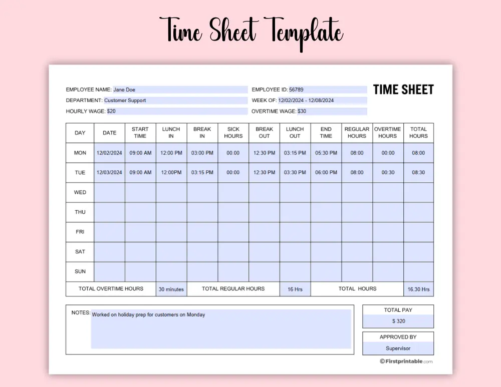 Printable and Fillable Time Sheet Template