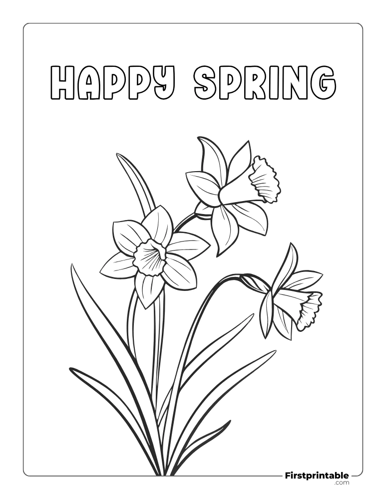 Daffodils Blooming in the Spring Coloring Page