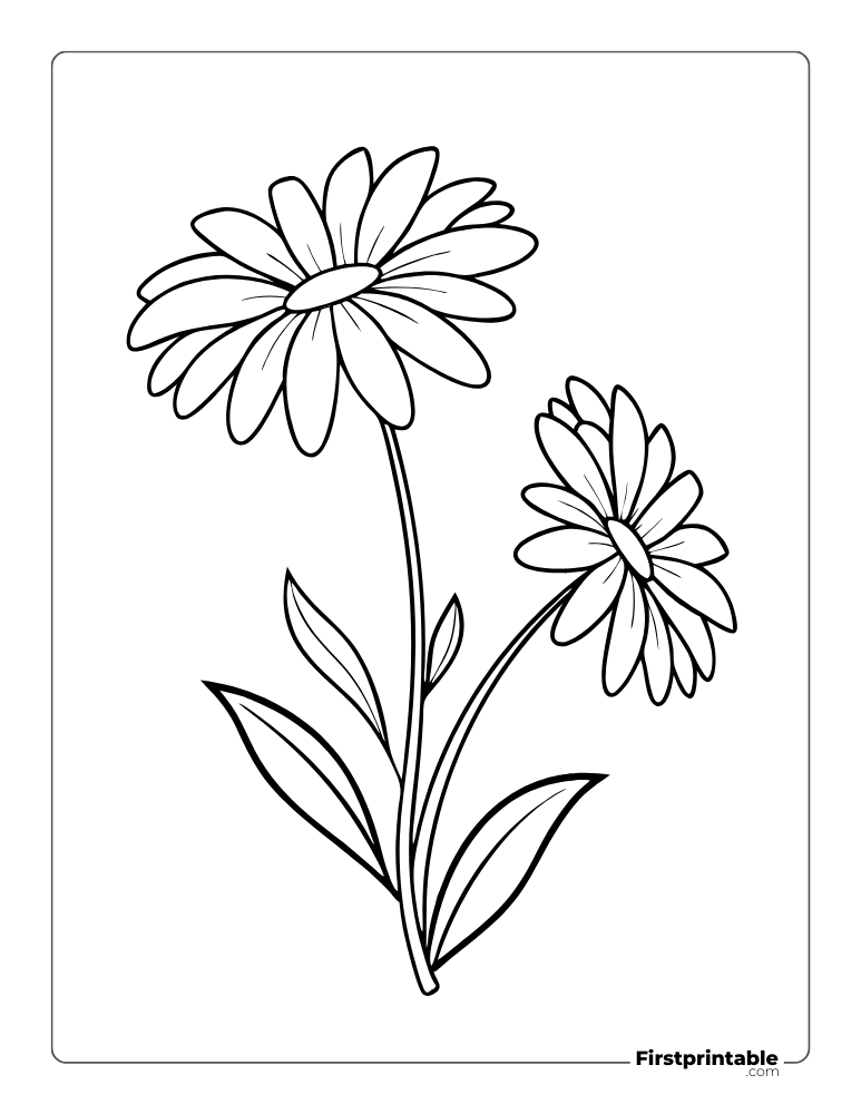 Cute Daisy Flowers Coloring Pages