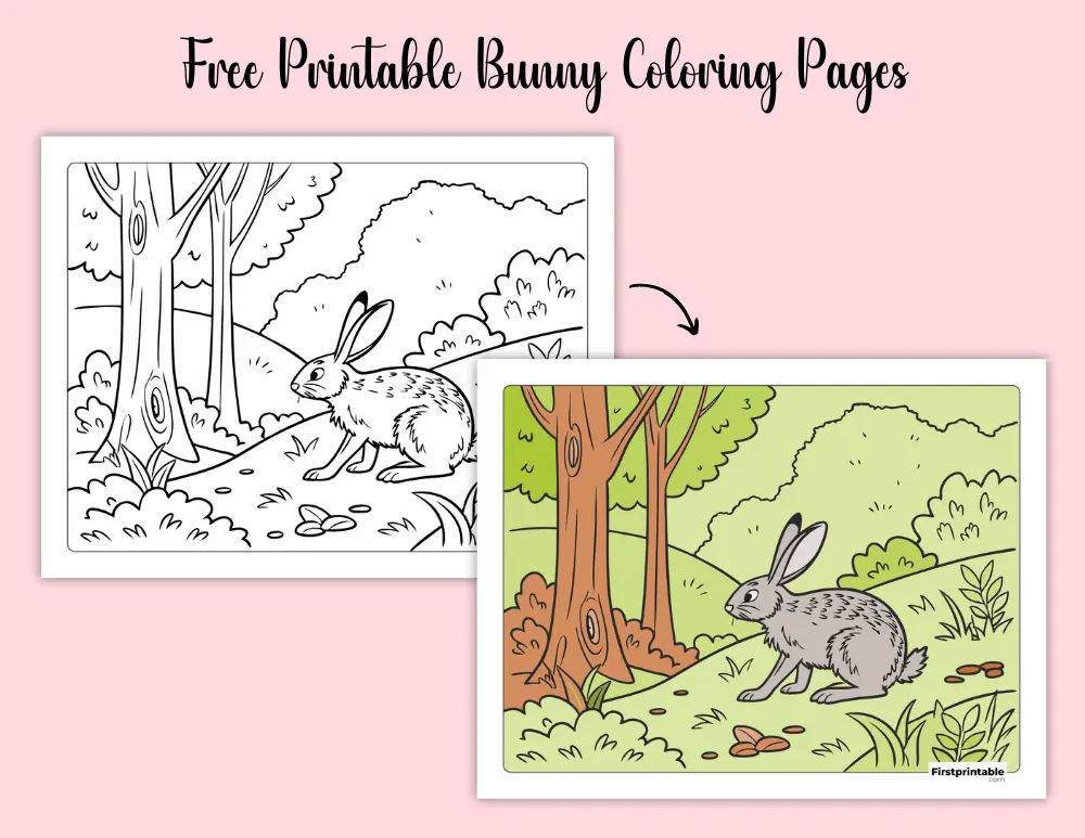 Free Printable Realistic Bunny Coloring Pages