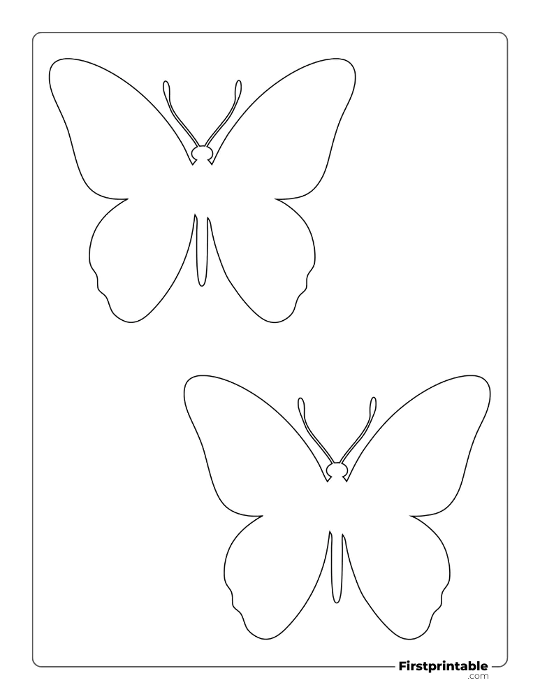 Butterfly Template Medium Outline