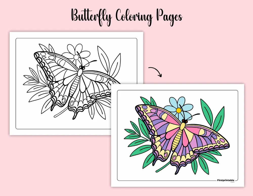 Butterfly Coloring Pages for Adults