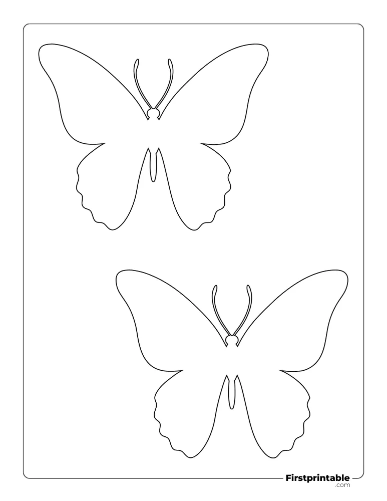 Realistic Butterfly Template - Medium Outline