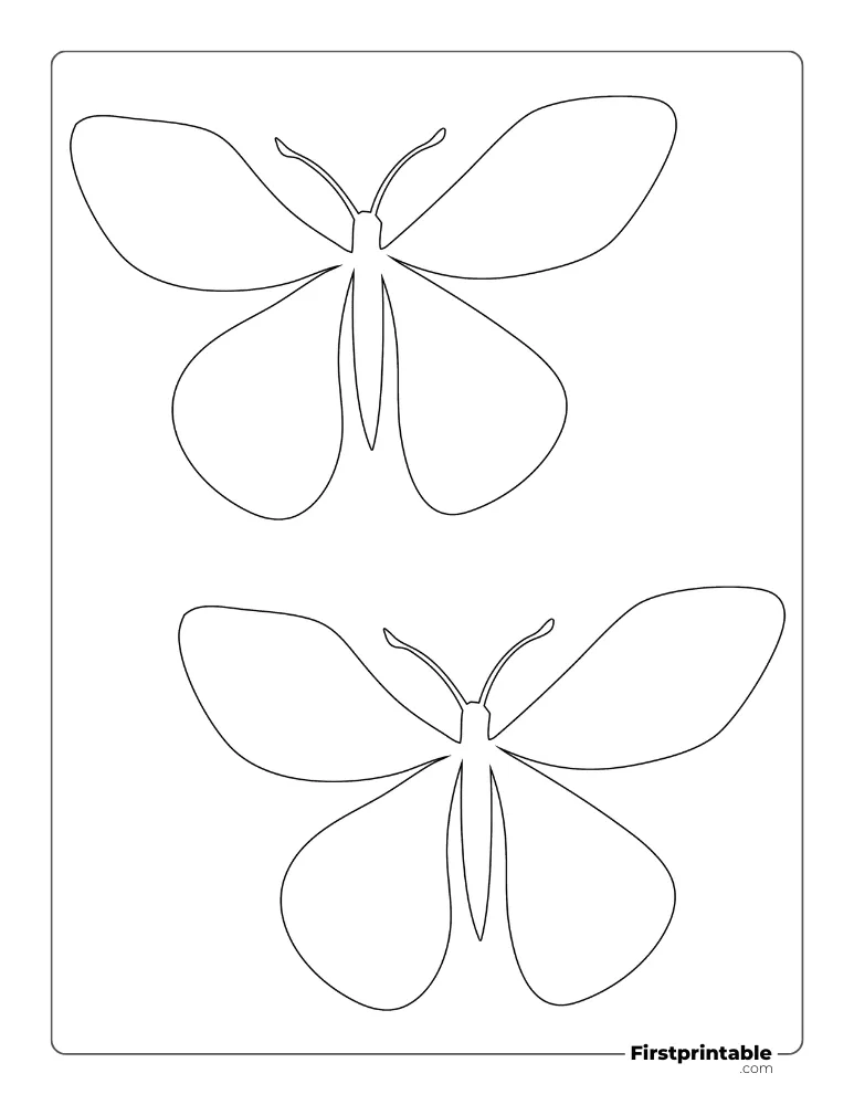 Realistic Butterfly Template - Medium Outline