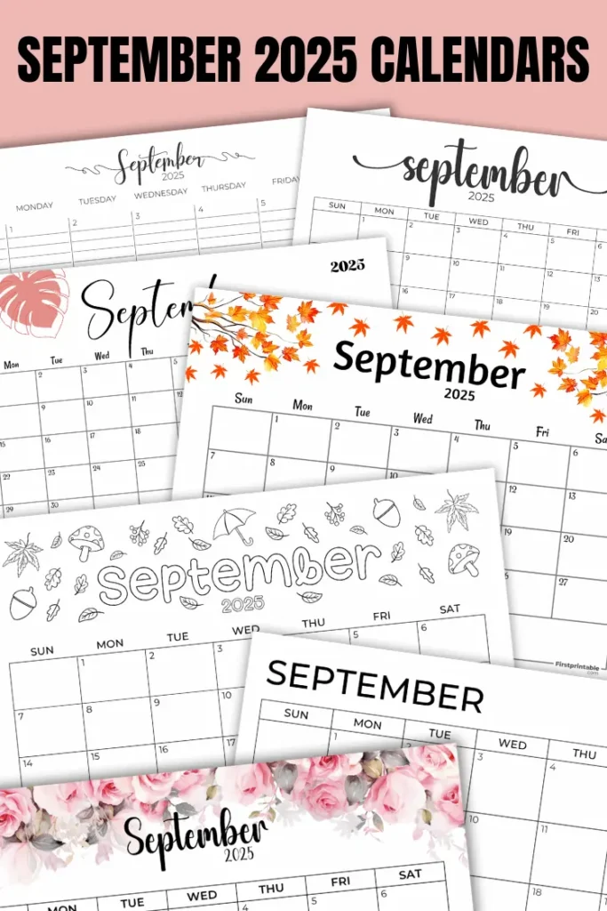 August 2024 Calendar Free Printable