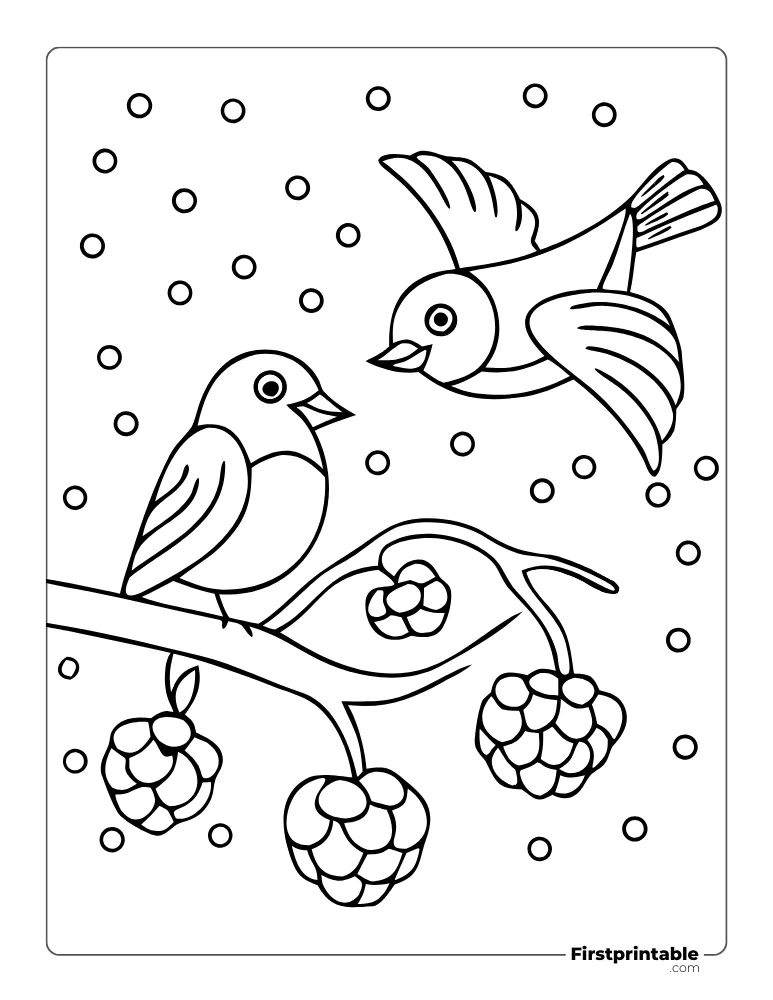 Winter Birds to Color