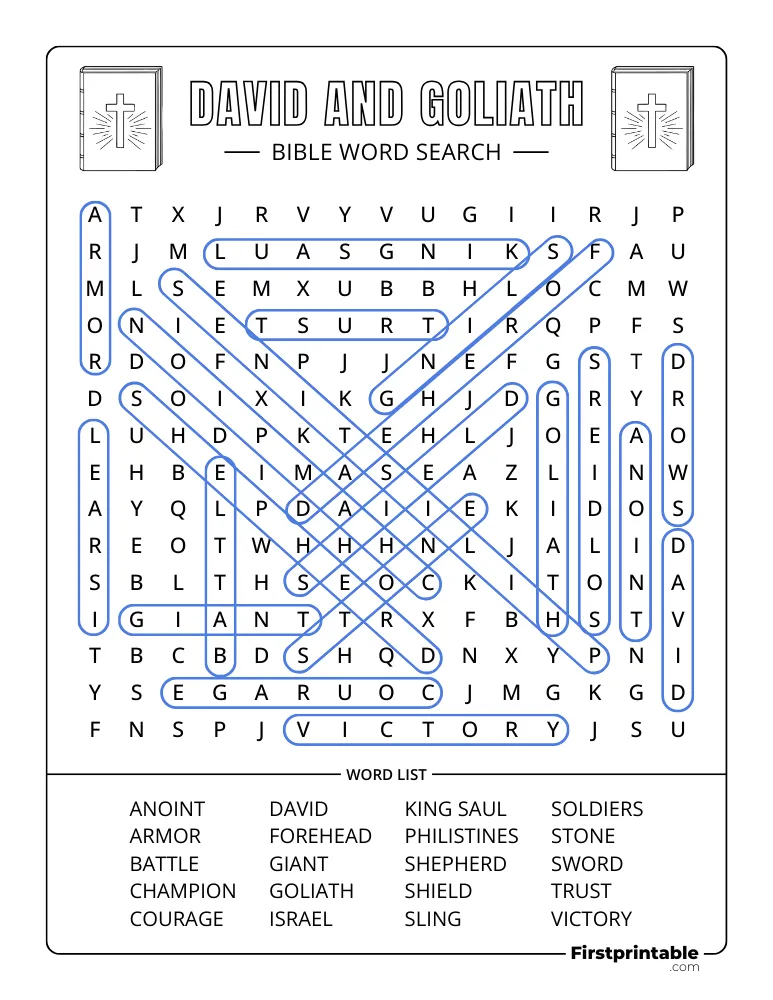 David and Goliath Answer Key