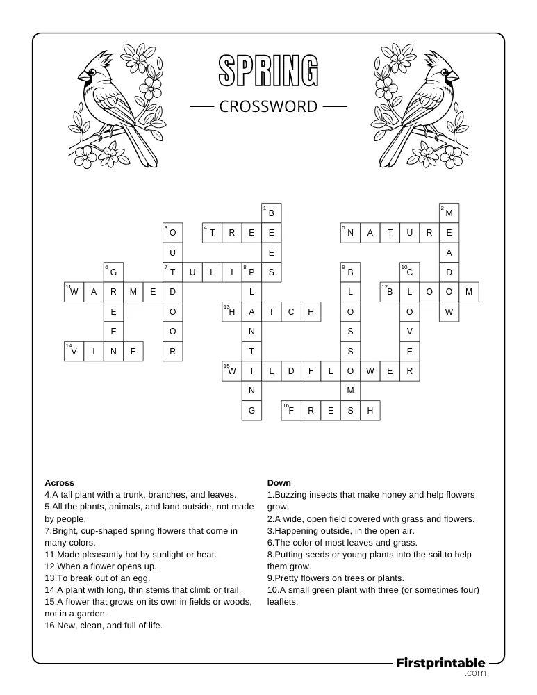 Medium 02 Answer Key