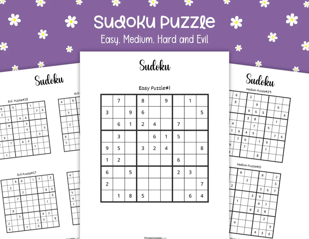 Sudoku Puzzles