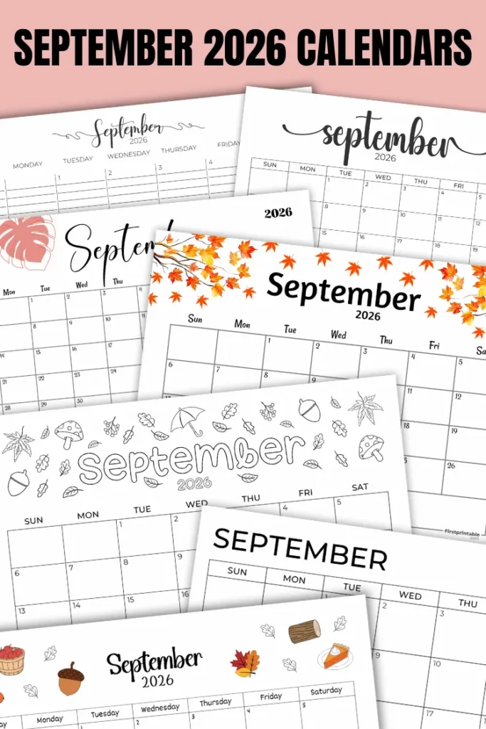 August 2024 Calendar Free Printable