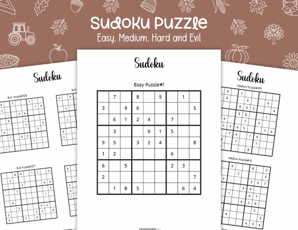 Sudoku Puzzles