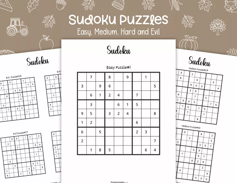 Sudoku Puzzles